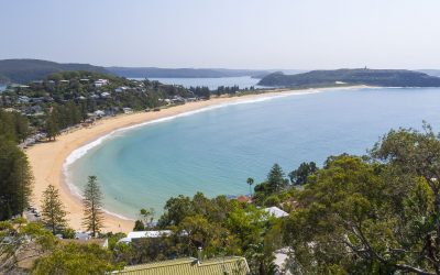 NORTHERN BEACH HOMES IN DEMAND