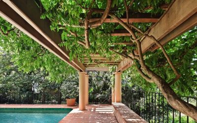 Eastern suburbs luxury listings continue to sell for phenomenal prices & new listings for Feb 2022 coming online..